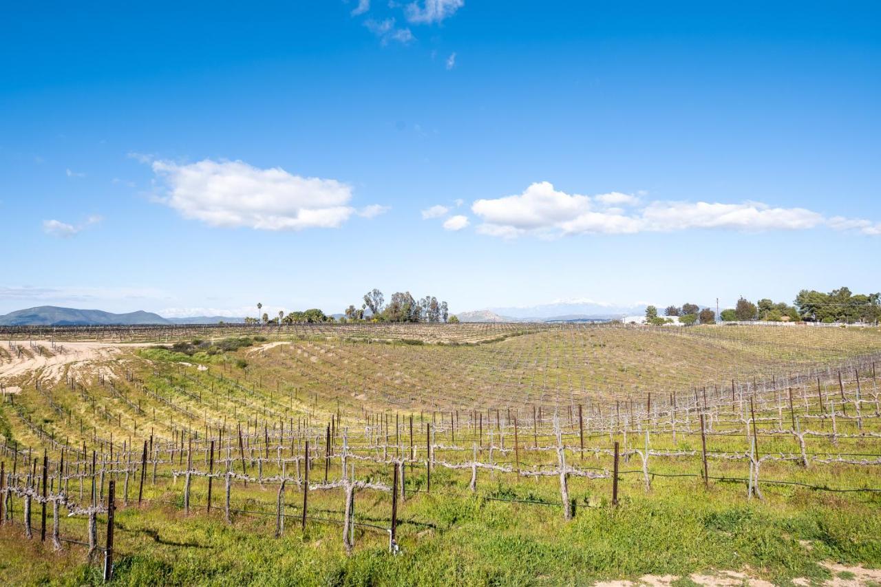 Domaine Chardonnay Bed & Breakfast Temecula Dış mekan fotoğraf