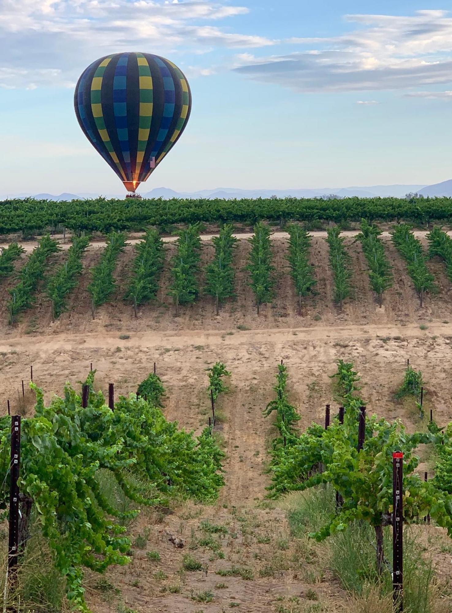 Domaine Chardonnay Bed & Breakfast Temecula Dış mekan fotoğraf