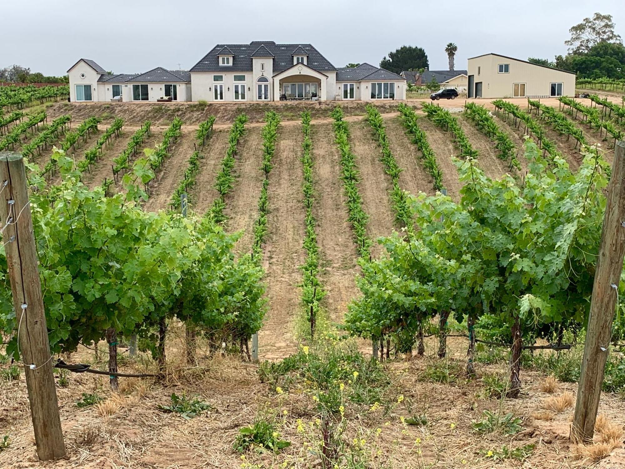 Domaine Chardonnay Bed & Breakfast Temecula Dış mekan fotoğraf