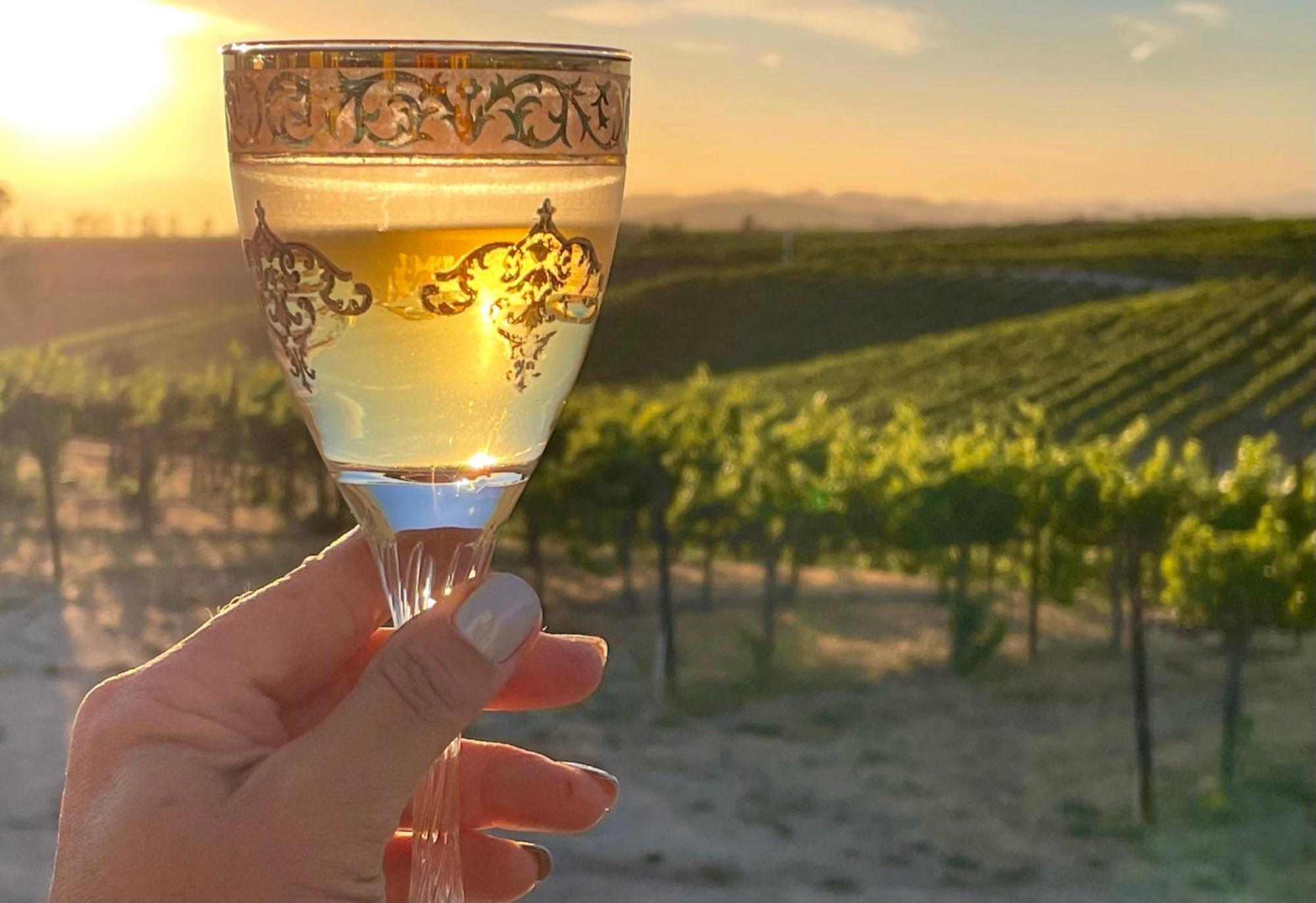 Domaine Chardonnay Bed & Breakfast Temecula Dış mekan fotoğraf